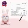 INPANY Bouncy Horse, Bunny Rabbit Hopper Toys, Toddler Plush Bouncing Animal, Kids Inflatable Ride on Rubber Bouncer, Outdoor Birthday Gift for 2 3 4 Yr Boy Girl view 4
