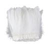 2M/5M/10M white goose feather border width 15-20cm goose feather ribbon dyed clothing party DIY craft dress sewing accessories(MINT GREEN,2m) view 1