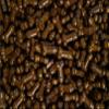 Perfect Brown Pecker Naughty Sprinkles, Funny Bachelorette Party Decorations, Risque Cake Toppers, Adult Gag Gift (1 oz Bag (28g)) view 1