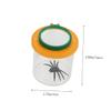 HEMOTON 3pcs Insect Observation Magnifier Box Double Lenses Portable Teaching Aid for Outdoor Learning Science Exploration Tools view 2