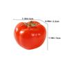 Abaodam 24pcs Realistic Mini Tomato Model Lifelike Artificial Vegetable Decor Toy Fruit Showcase Props view 2