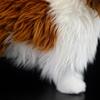 11.5'' Realistic Sheltie Dog Plush Stuffed Animal Plush Shetland Sheepdog Pillow Animals Dolls for Birthday Home Decor view 3