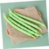 Happyyami 8pcs Lifelike Bean Simulation Model Artificial Vegetable Decorations for Home and Party Display Realistic and Safe for Tabletop Decor and Educational Use view 4