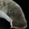20.5'' Large Lamprey Plush Animal EEL Plush Stuffed Lamprey Home Decor view 3