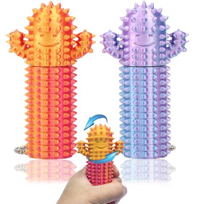 2Pcs Little Ouchies Fidget, Cactus Pain Stim Fidget Toy, Rotating Spiky Grippie Stim Keychain for Anxiety Relief, 3D Printed Portable Stim Tool, Pocket Mini Fidget Toy for Adults Novelty Gifts