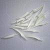 10 Pieces Realistic Pumpkin Teeth For Costume Parties And Jokes Halloween Themed Accessories Creative Accessory view 4