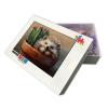 Flowerpot Hedgehog Adult Jigsaw Puzzle, Cactus Friend, Animal Unique Charm, Animal Jigsaw 120 Pieces view 2
