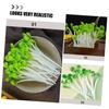 ABOOFAN 12pcs Lifelike Simulation Vegetable Model Bean Sprouts Decor for Photo Props Artificial Sprouts for Home view 4