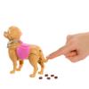 Barbie JJB47 Walking and Needs Puppy Set with Dog Walking and Needs Broklyn Doll, Shovel and Accessories for Animals, JJB47 view 3