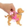 Barbie JJB47 Walking and Needs Puppy Set with Dog Walking and Needs Broklyn Doll, Shovel and Accessories for Animals, JJB47 view 4