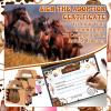 62 Pcs Adopt a Horse Animal Party Favors Include 12 Mini Stuffed Horse 12 Boxes 12 Hats 12 Scarves 12 Cards 1 Adopt Sign 1 Fence for Adopt a Grassland Animal Party Favor Pet Birthday Supply Gifts view 4
