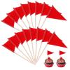 100 Pcs Golf Cupcake Toppers Golf Flag Toothpicks Solid Red Toothpick Flags Small Mini Plain Triangle Cupcake Toppers Flags Fruit Cheese Markers For Wedding Party Buffet Appetizers Diy Decoration view 1