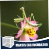 Praying Mantis Eggs to Hatch, 2Pcs Praying Mantis Habitat, 6.3x5.9x5.5 Egg Case, for Tarantulas, Spiders, Snails, Crickets view 2