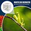 Praying Mantis Eggs to Hatch, 2Pcs Praying Mantis Habitat, 6.3x5.9x5.5 Egg Case, for Tarantulas, Spiders, Snails, Crickets view 4