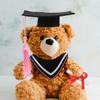 Amosfun Graduation Bear Clothes Set for DIY Stuffed Animals Adorable Plush Gown Cap Outfit Versatile Graduation Costume for Dolls Soft Fabric Fits Various view 2