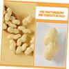 Kisangel 6pcs Realistic Fake Peanut Models PVC Simulated Nut Decorations for Home Supermarket and Photography Props Detailed Design view 3