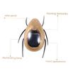 Kisangel 5pcs Solar Energy Powered Chafer Toy Simulation Bugs for Boy Girl Outdoor Educational Plaything Fun Solar Power Toy for Boy Girl Golden view 3