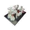PIONEERX STL-SGM Inline Four-Cylinder Hot Air Stirling Engine External Combustion Engine Power Generator Model view 1