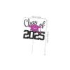 OKUMEYR 10pcs Graduation Cake Toppers Paper Picks for Graduation Party Decorations Smooth Lightweight Easy to Insert for High School Celebrations view 2