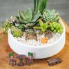 VOSAREA 10pcs Miniature Garden Furniture Ornaments Resin Tables Chairs for Dollhouse Accessories Landscape Decorations Rustic Charm Easy to Use and Lightweight view 3