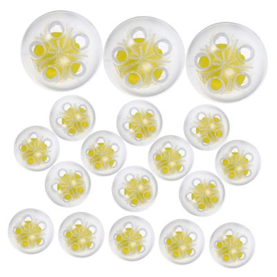 DOITOOL 50pcs Rattle Inserts for Dolls and Pet Toys Noise Maker Inserts for Crochet Toys Rattle for Interactive Play and Developmental