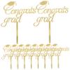 Alipis 10pcs Graduation Cake Decorations Fun Cupcake Toppers Picks for Graduation Parties Eye-catching to Celebrate Achievements view 1