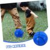 Gogogmee Basketball for Boys and Girls Lightweight Bouncy for Fun Indoor and for Leisure Activities and Games Soft and Design view 4