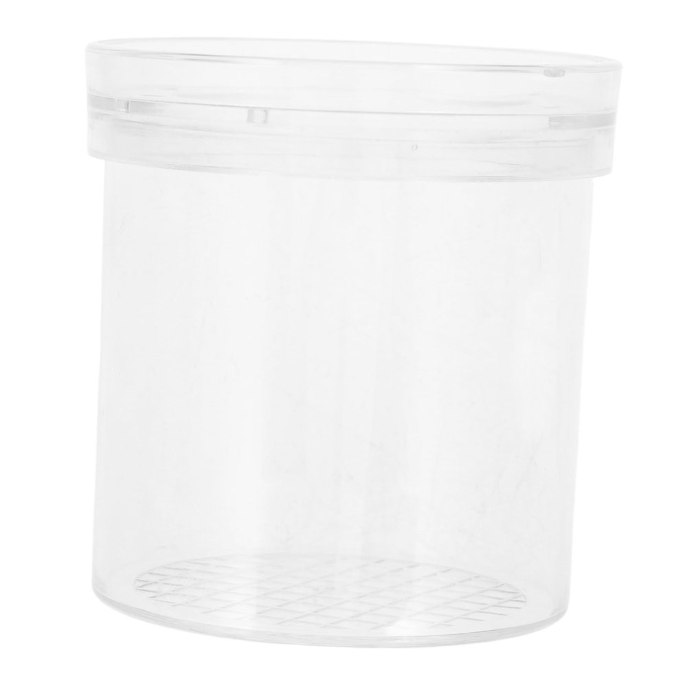 Alipis Critter Bug Jar Magnification Insect Observation Box Educational Science Toy Bug Catching Outdoor Exploration Kit