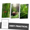 Alipis Critter Bug Jar Magnification Insect Observation Box Educational Science Toy Bug Catching Outdoor Exploration Kit view 3