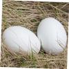 BESPORTBLE Easter Egg Craft Set 6 Realistic Wooden Fake Eggs for Kids DIY Projects view 4