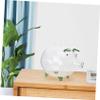 Abaodam Pig-Shaped Piggy Bank for Boys and Girls Large Adult Money Box Glass Coin Box Sturdy Base view 3