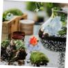BESPORTBLE 10pcs Mini Resin Bonfire Model for Dollhouse Creative Landscape Decoration Fire Pit Accessories for Flower Pots and Miniature Scenes view 4