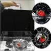 6/10CM Height Low Shallow Tank,Creative Photography Shooting Water Tray,Shooting Props Photography Storage Tray,Acrylic Display Case Showcase view 4