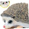 Abaodam 2pcs Realistic Hedgehog Figurine Solid Plastic Wildlife Model Decor Creative Animal Ornaments for Home Office Garden Educational Craft view 3
