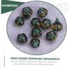 BESPORTBLE 10pcs Lifelike Acorn Squash Model for Mini House Decor for Fall and Thanksgiving Home Decorations Crafts and Photography Props view 3