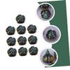BESPORTBLE 10pcs Lifelike Acorn Squash Model for Mini House Decor for Fall and Thanksgiving Home Decorations Crafts and Photography Props view 4