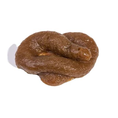 1 Pc Brown Realistic Fake Poop, Novelty Floating for April Fools' Day, Perfect Prank Gift, Gags and Practical Joke Toys