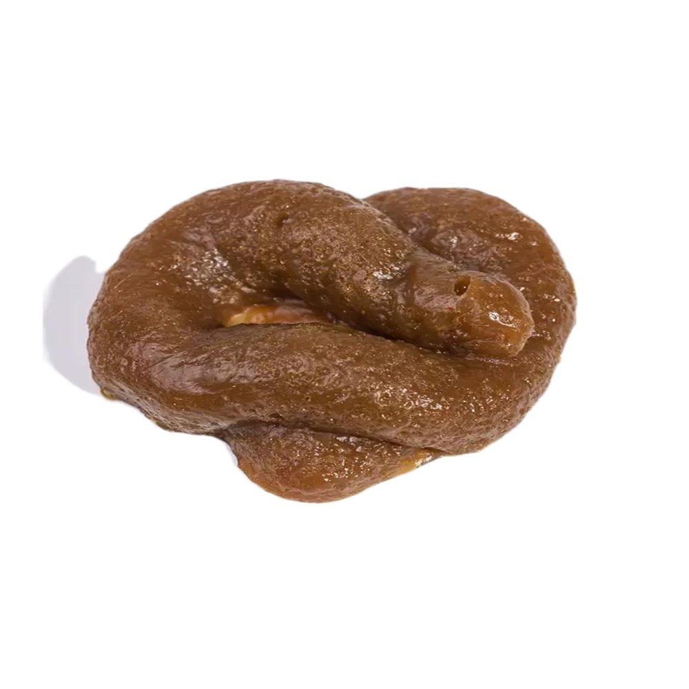1 Pc Brown Realistic Fake Poop, Novelty Floating for April Fools' Day, Perfect Prank Gift, Gags and Practical Joke Toys
