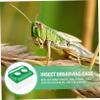 BESPORTBLE Transparent Outdoor Observation Case Portable Insect Box for Nature Exploration Lightweight Collecting Container for Boy Girl and Adults view 4