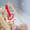 COOPHYA 8pcs Bed Standing Pull Ring Toys for Boys and Girls Learning Standing Harness for Pull up Ring for Playpen view 3