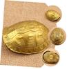 FELTECHELECTR Copper Turtle Shell Coin Chinese Divination Adorn Wealth Craft for Family Gathering view 2
