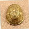 FELTECHELECTR Copper Turtle Shell Coin Chinese Divination Adorn Wealth Craft for Family Gathering view 4
