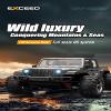 Tiodei Exceed C8819 1:20 Scale 4WD Full Proportional RC Pickup Truck, 35km/h High-Speed Simulation Dirt Bike Style with 1 Batteries  Grey view 4