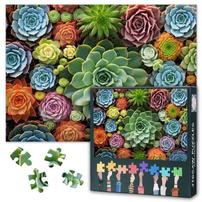 Jigsaw Puzzle 1000 Pieces for Adults - Succulent Garden and Tropical Cactus Art in Vibrant Colors, Premium Puzzles for Adults, 27.5x19.7 in