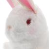 Abaodam Adorable Plush Jumping Bunny Toy for Boy Girl Wind-up for Easter Christmas and Party Favors for Indoor and Outdoor Playtime view 3