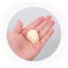 BRIGHTFUFU 8pcs Realistic Fake Chocolate Molds Multi-Function Desktop Decor for Boys and Girls Toys view 4
