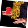 Abaodam 1set Adorable Sponge Bunny Gimmick Trick Transforming into Bunnies for Close-up Shows and Party Entertainment Performance Prop for All Skill Levels view 4