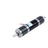 32mm 12v 32GP31ZY miniature planetary gear dual-axis DC gear motor high torque low speed shaft diameter 6MM or 8MM(12V 22RPM,8mm and 2 brackets) view 1