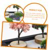 Totority Zen Garden Kit for Desk Garden Decorative Sandbox Ornament Table Artware Decor view 4