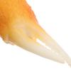 Abaodam Realistic Faux Crab Model Unique Japanese Style Fake Food Toy for Pretend Play and Creative Teaching Tools Kitchen Decor view 3